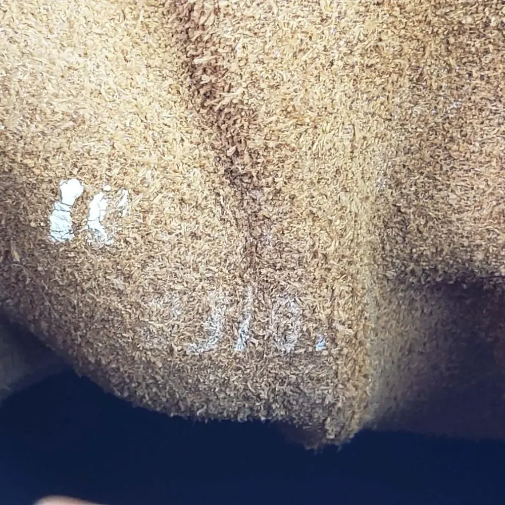 L.L. Bean pre owned